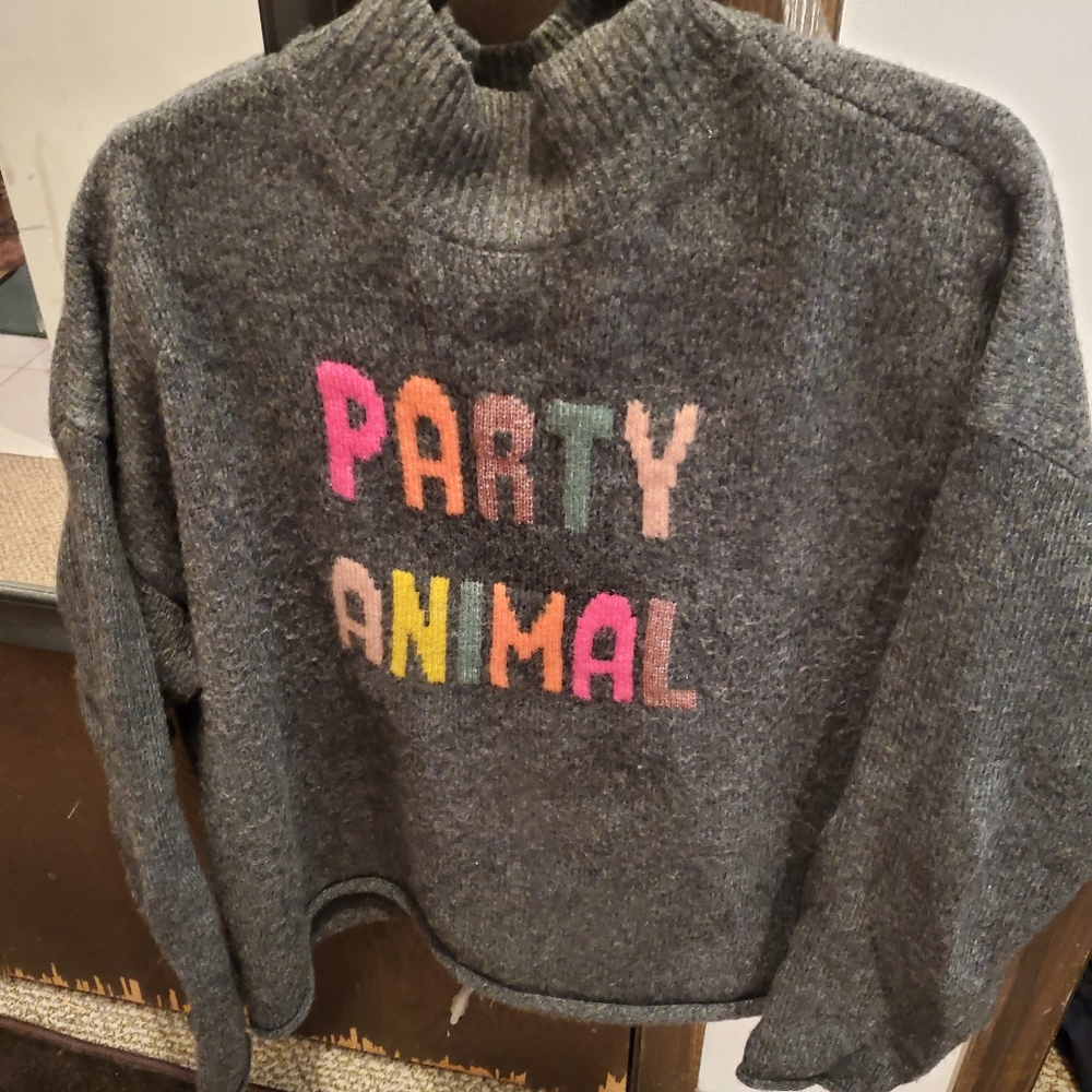 Lou & Grey Gray Crewneck Sweater with Multicolor 'Party Animal' Text